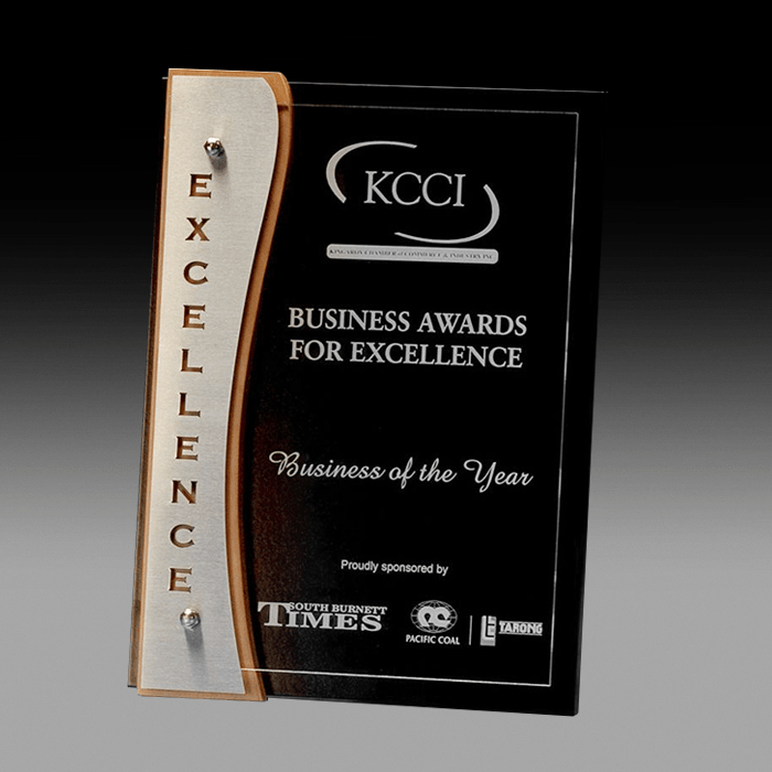 Timber and Acrylic Plaque with Stainless Excellence Trim SAE - Image 3