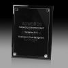 Business Award Plaque with Raised Acrylic Panel AC81