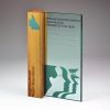 Neighbourhood Watch Custom Perpetual Award